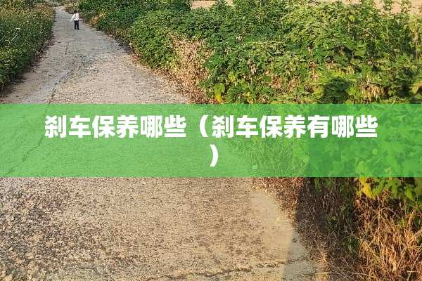 刹车保养哪些（刹车保养有哪些）