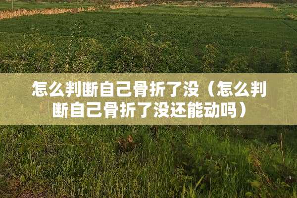 怎么判断自己骨折了没（怎么判断自己骨折了没还能动吗）