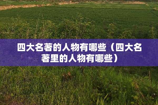 四大名著的人物有哪些（四大名著里的人物有哪些）