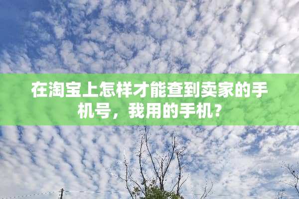 在淘宝上怎样才能查到卖家的手机号，我用的手机？
