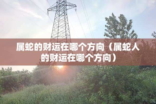 属蛇的财运在哪个方向（属蛇人的财运在哪个方向）