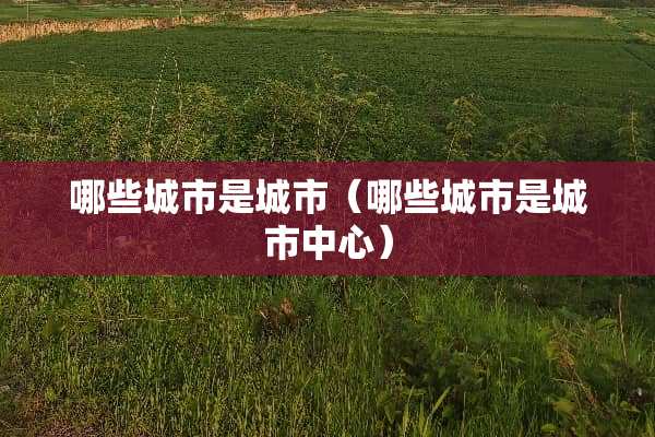 哪些城市是城市（哪些城市是城市中心）