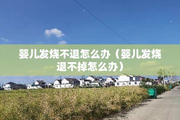 婴儿发烧不退怎么办（婴儿发烧退不掉怎么办）