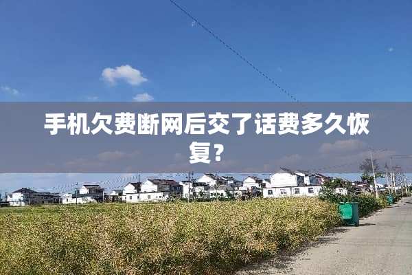 手机欠费断网后交了话费多久恢复？