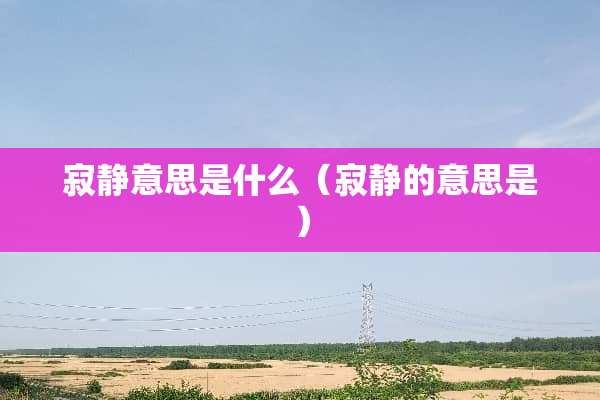 寂静意思是什么（寂静的意思是）