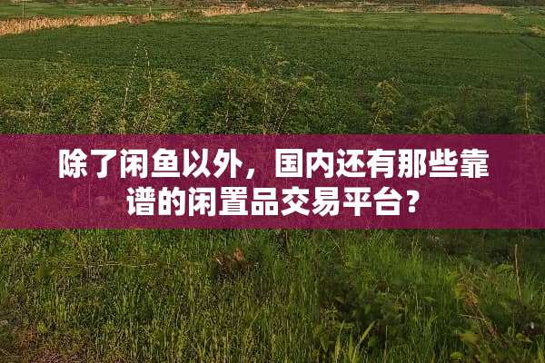 除了闲鱼以外，国内还有那些靠谱的闲置品交易平台？