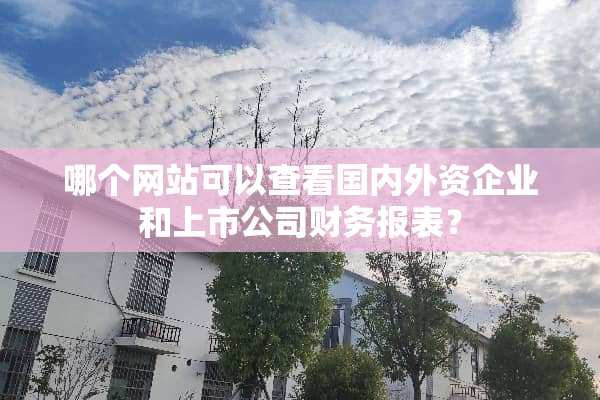 哪个网站可以查看国内外资企业和上市公司财务报表？