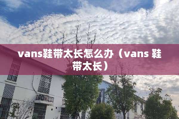 vans鞋带太长怎么办（vans 鞋带太长）