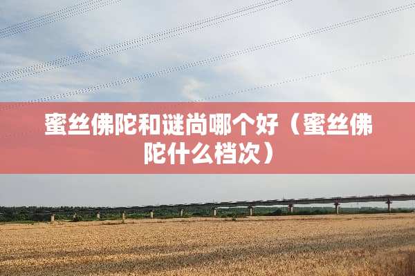 蜜丝佛陀和谜尚哪个好（蜜丝佛陀什么档次）