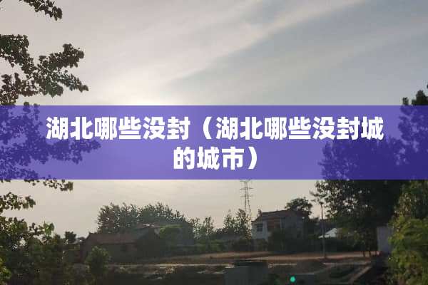 湖北哪些没封（湖北哪些没封城的城市）