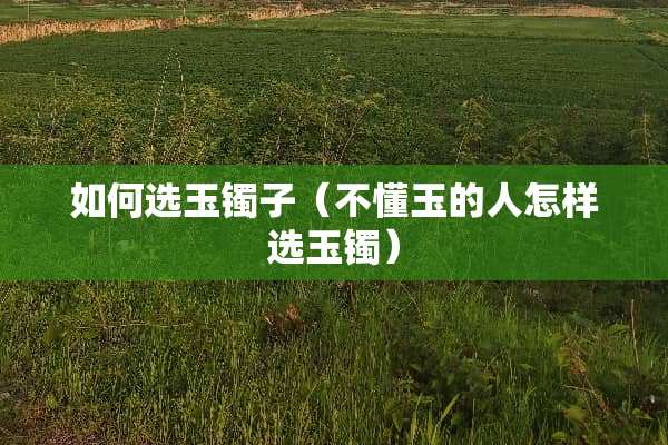 如何选玉镯子（不懂玉的人怎样选玉镯）