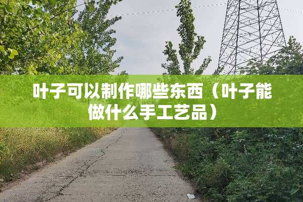 叶子可以制作哪些东西（叶子能做什么手工艺品）