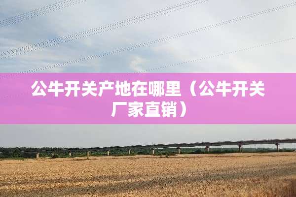 公牛开关产地在哪里（公牛开关厂家直销）