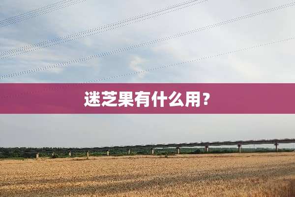 迷芝果有什么用？
