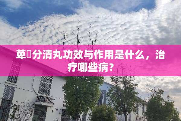 萆薢分清丸功效与作用是什么，治疗哪些病？