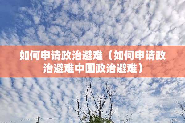 如何申请政治避难（如何申请政治避难中国政治避难）