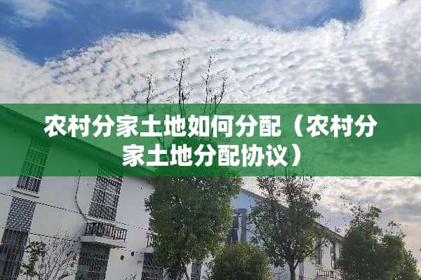 农村分家土地如何分配（农村分家土地分配协议）
