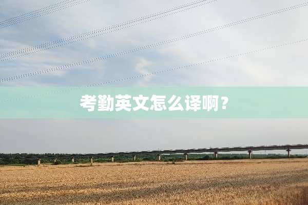 考勤英文怎么译啊？