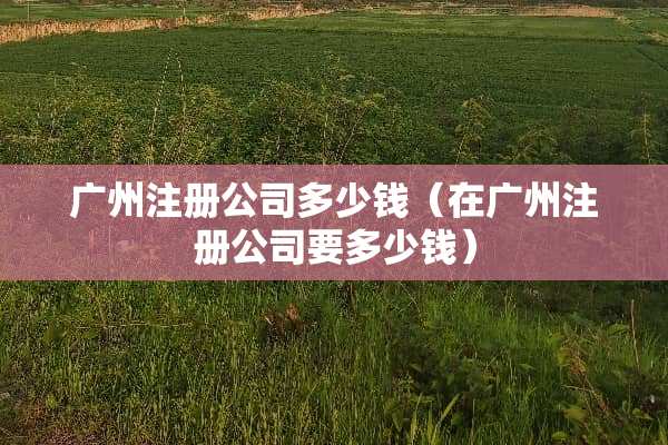 广州注册公司多少钱（在广州注册公司要多少钱）