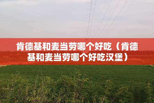 肯德基和麦当劳哪个好吃（肯德基和麦当劳哪个好吃汉堡）