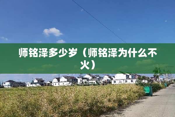 师铭泽多少岁（师铭泽为什么不火）