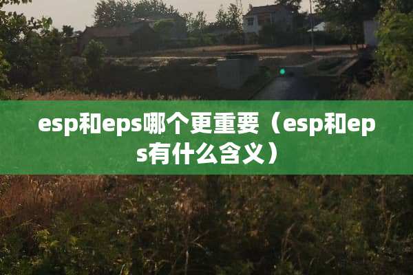 esp和eps哪个更重要（esp和eps有什么含义）