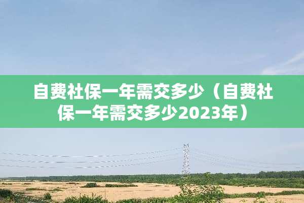 自费社保一年需交多少（自费社保一年需交多少2023年）