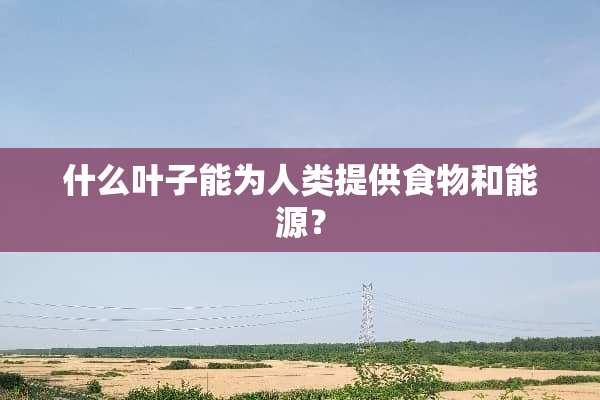 什么叶子能为人类提供食物和能源？
