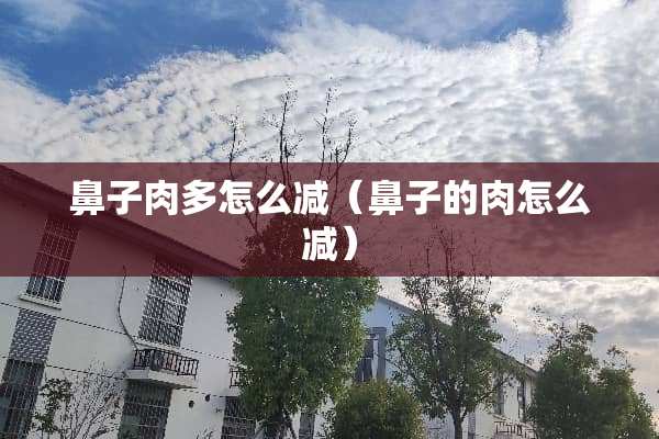 鼻子肉多怎么减（鼻子的肉怎么减）