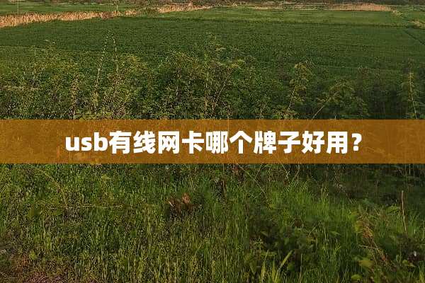 usb有线网卡哪个牌子好用？