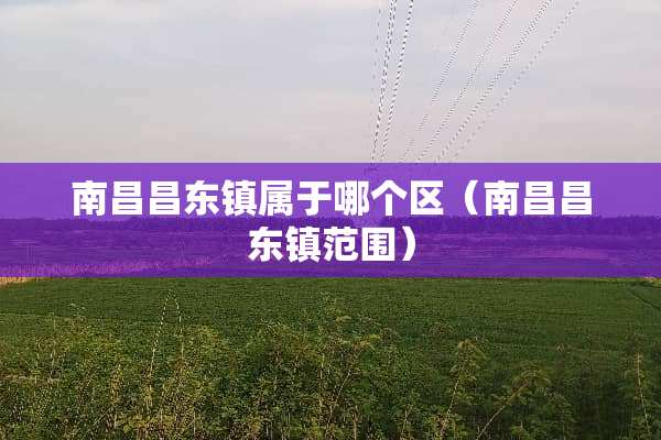 南昌昌东镇属于哪个区（南昌昌东镇范围）