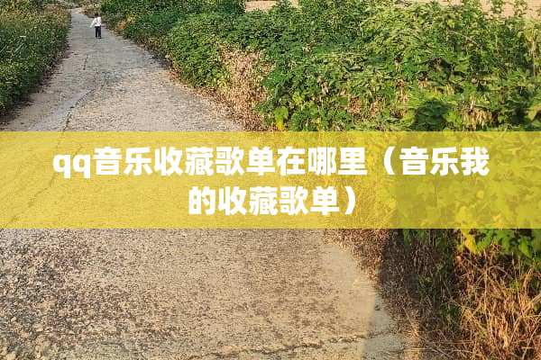 qq音乐收藏歌单在哪里（音乐我的收藏歌单）