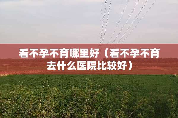 看不孕不育哪里好（看不孕不育去什么医院比较好）