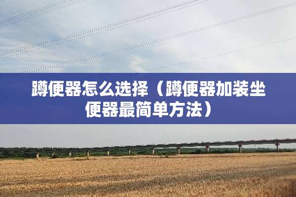 蹲便器怎么选择（蹲便器加装坐便器最简单方法）