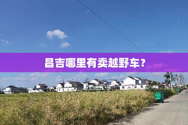昌吉哪里有卖越野车？