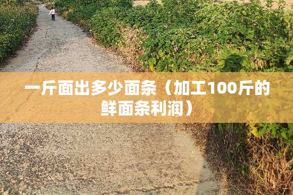 一斤面出多少面条（加工100斤的鲜面条利润）