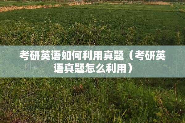 考研英语如何利用真题（考研英语真题怎么利用）