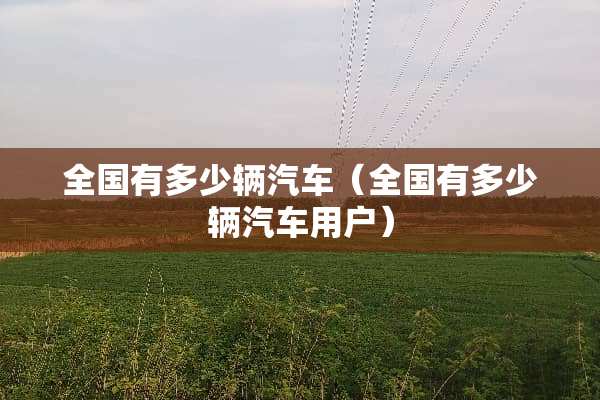 全国有多少辆汽车（全国有多少辆汽车用户）