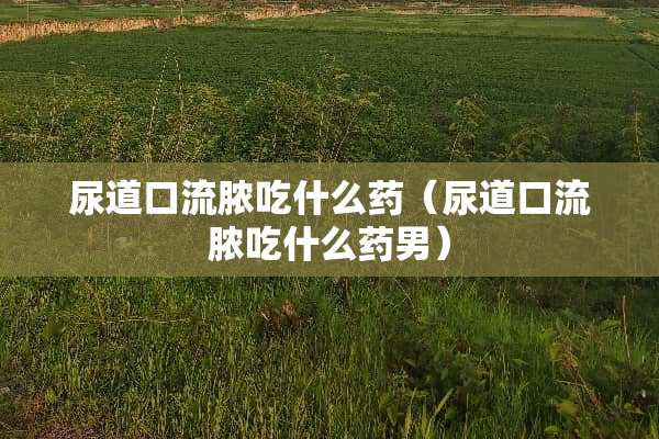 尿道口流脓吃什么药（尿道口流脓吃什么药男）
