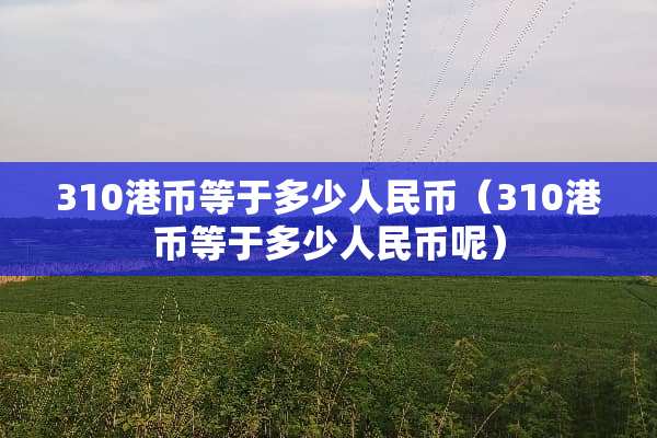310港币等于多少人民币（310港币等于多少人民币呢）