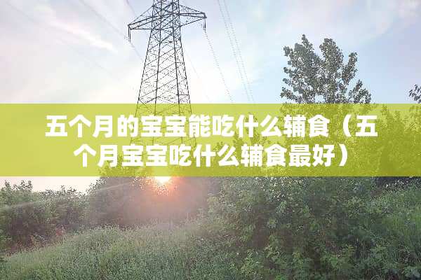 五个月的宝宝能吃什么辅食（五个月宝宝吃什么辅食最好）