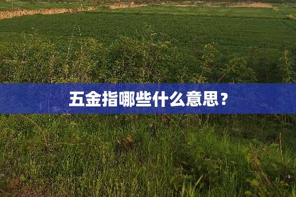 五金指哪些什么意思？