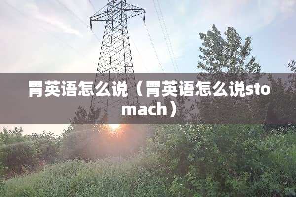 胃英语怎么说（胃英语怎么说stomach）