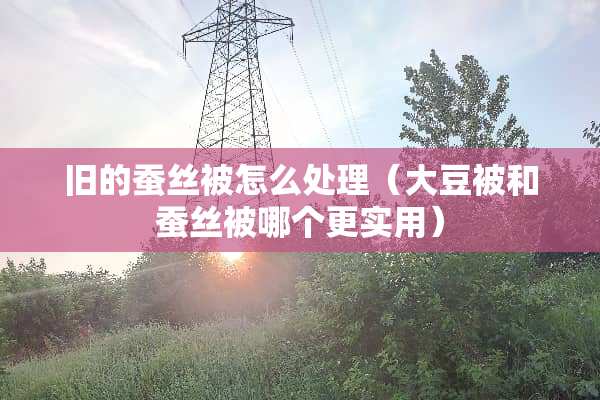 旧的蚕丝被怎么处理（大豆被和蚕丝被哪个更实用）