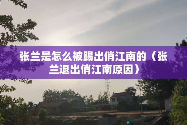 张兰是怎么被踢出俏江南的（张兰退出俏江南原因）