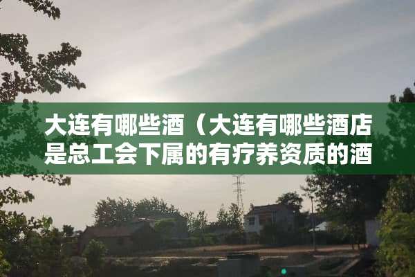 大连有哪些酒（大连有哪些酒店是总工会下属的有疗养资质的酒店）