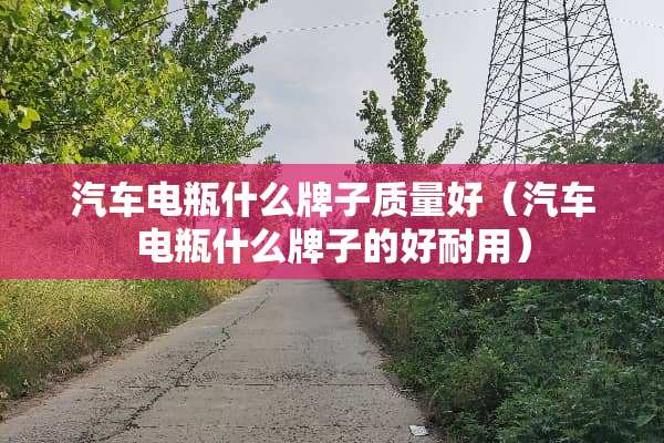 汽车电瓶什么牌子质量好（汽车电瓶什么牌子的好耐用）