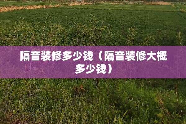 隔音装修多少钱（隔音装修大概多少钱）