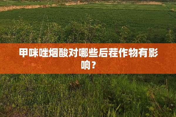 甲咪唑烟酸对哪些后茬作物有影响？
