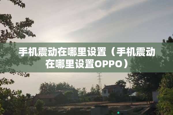 手机震动在哪里设置（手机震动在哪里设置OPPO）